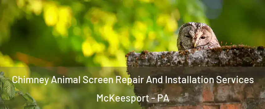  Chimney Animal Screen Repair And Installation Services McKeesport - PA