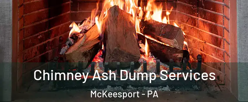  Chimney Ash Dump Services McKeesport - PA