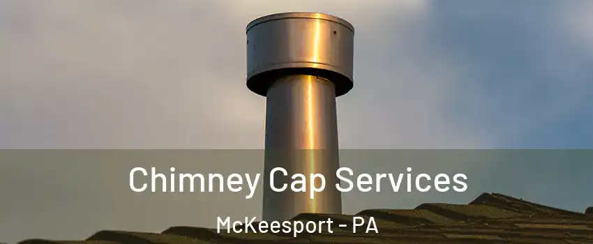 Chimney Cap Services McKeesport - PA