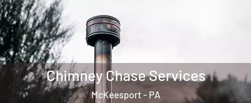  Chimney Chase Services McKeesport - PA