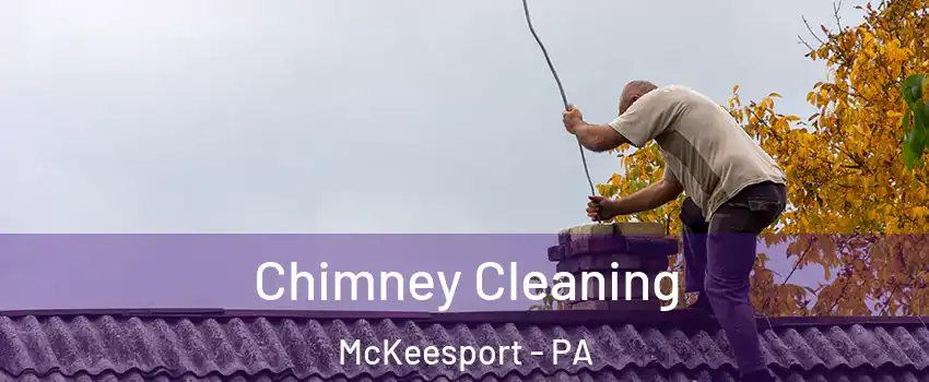  Chimney Cleaning McKeesport - PA