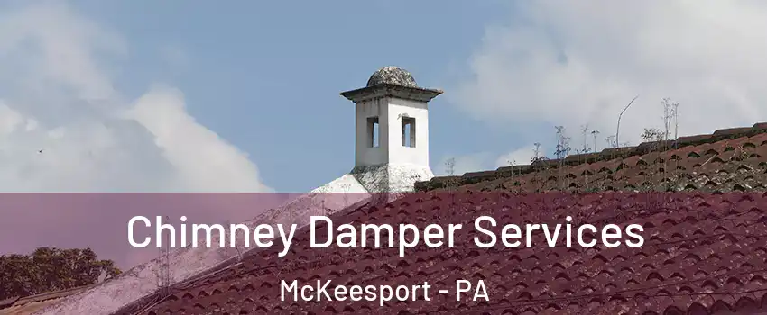  Chimney Damper Services McKeesport - PA