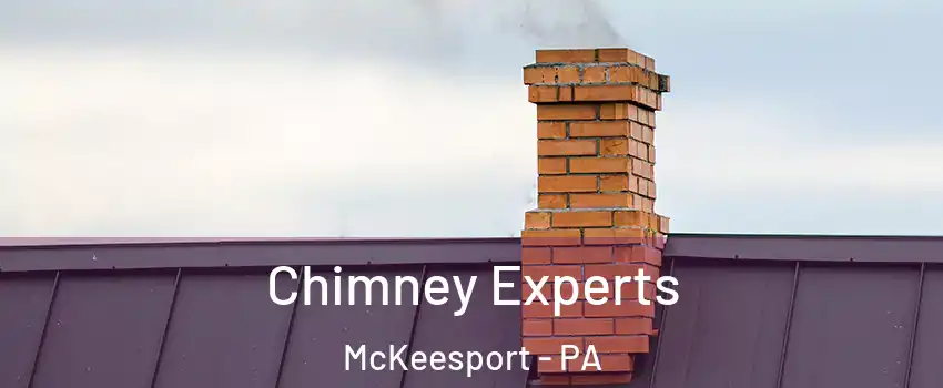  Chimney Experts McKeesport - PA