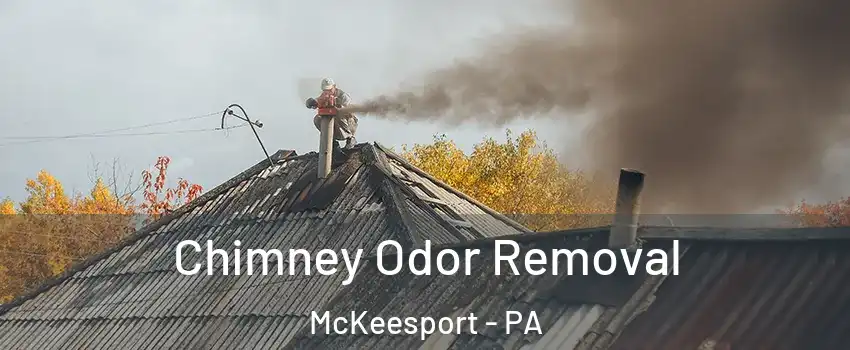  Chimney Odor Removal McKeesport - PA