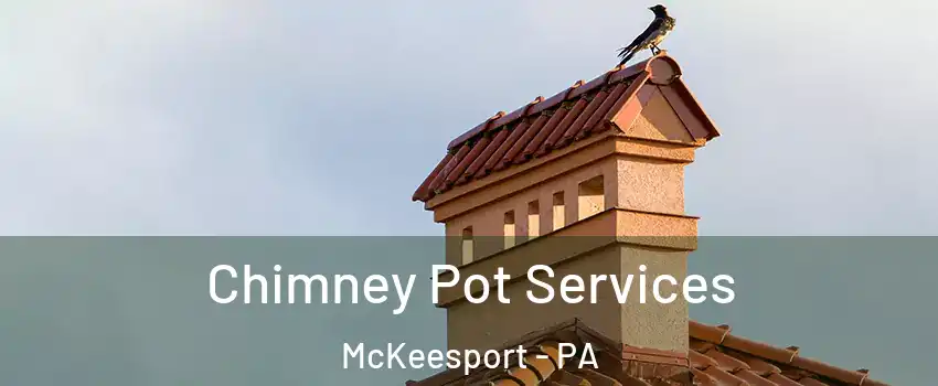  Chimney Pot Services McKeesport - PA