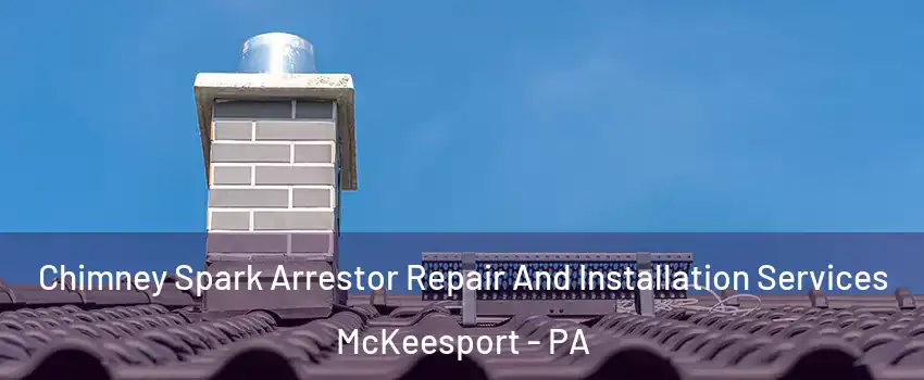  Chimney Spark Arrestor Repair And Installation Services McKeesport - PA