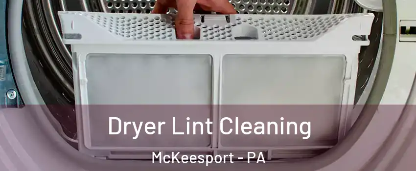  Dryer Lint Cleaning McKeesport - PA