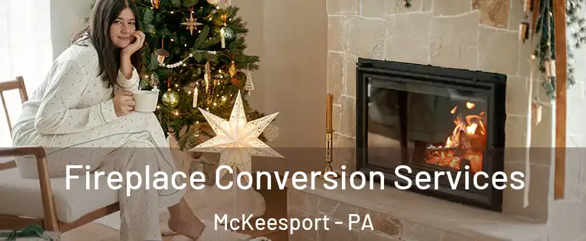  Fireplace Conversion Services McKeesport - PA