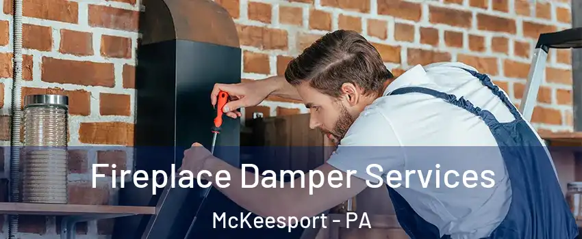  Fireplace Damper Services McKeesport - PA