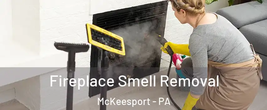  Fireplace Smell Removal McKeesport - PA