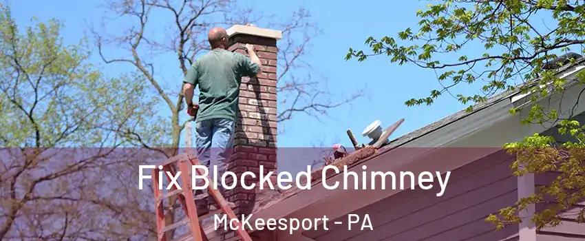 Fix Blocked Chimney McKeesport - PA