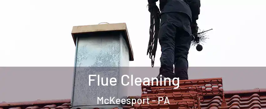  Flue Cleaning McKeesport - PA