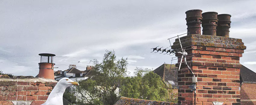 Chimney Cleaning And Restoration in McKeesport, Pennsylvania