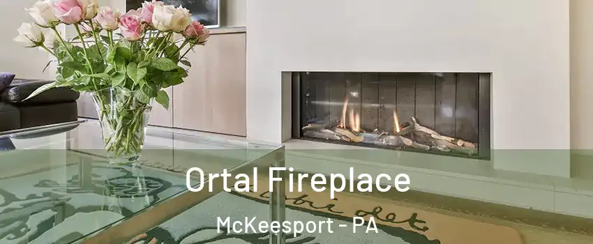  Ortal Fireplace McKeesport - PA